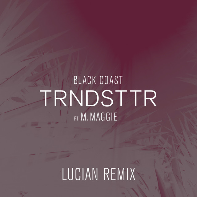 Trndsttr (feat. M. Maggie) - Lucian Remix