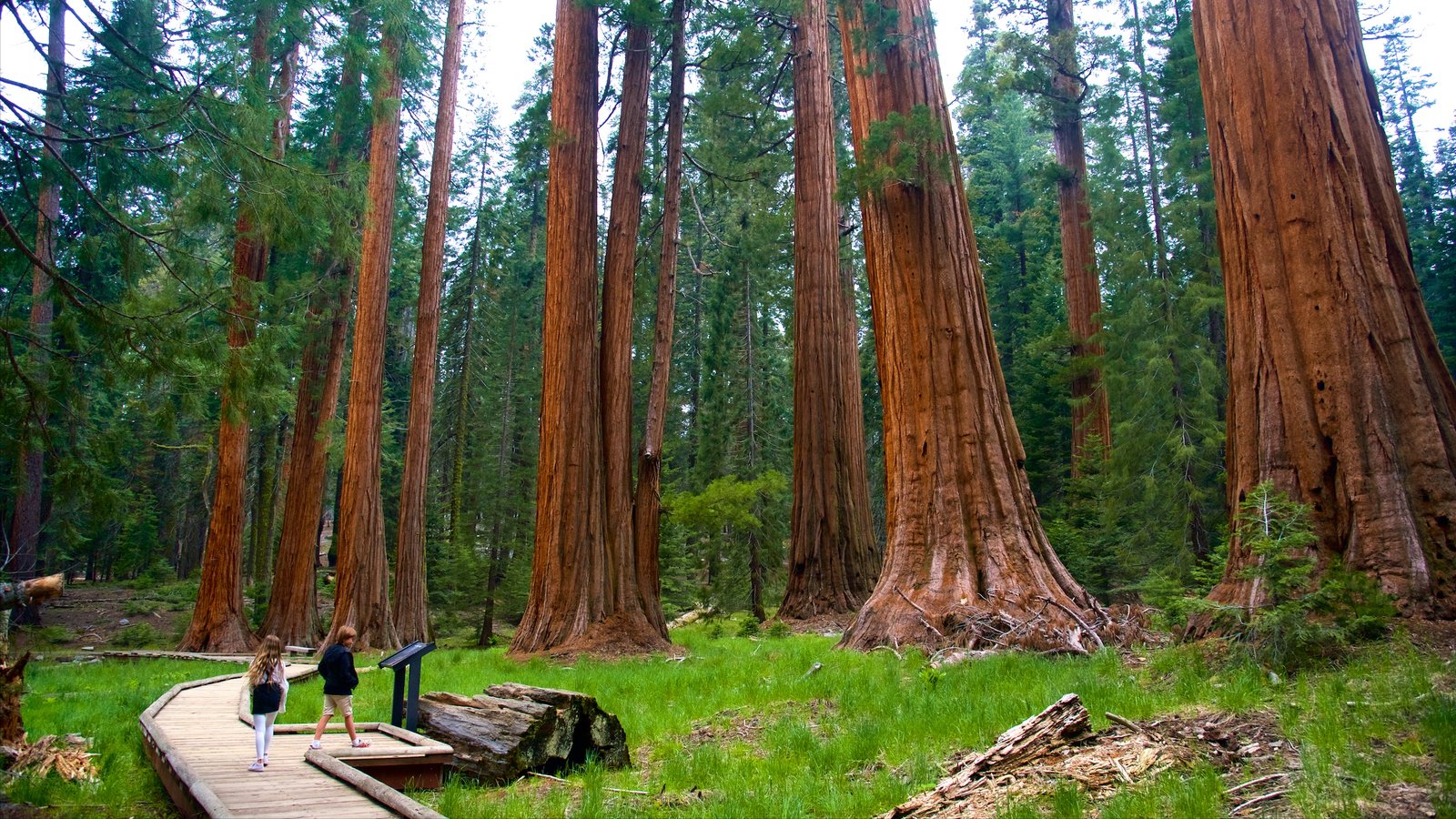 Sequoia & Kings Canyon National Parks (U.S. National Park Service)