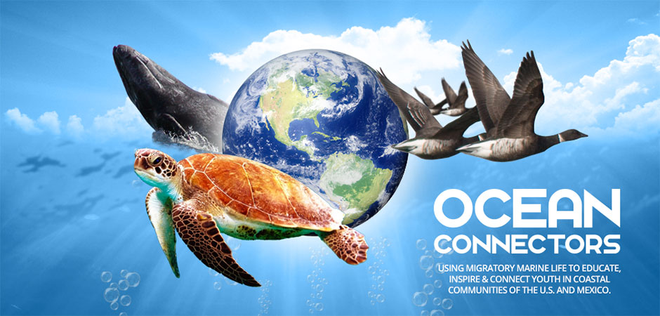 Ocean Connectors | Connecting Youth For Conservation