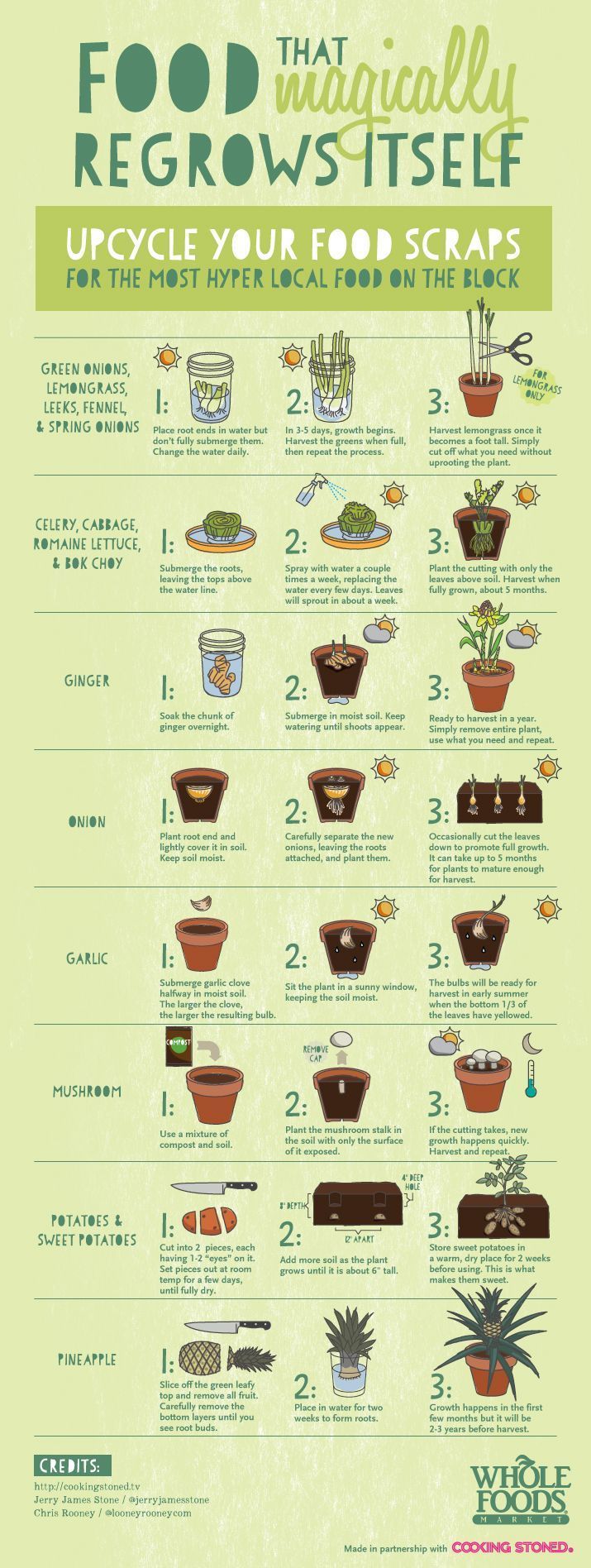 Food That Magically Regrow  | Plants, Growing vegetables, Growing food