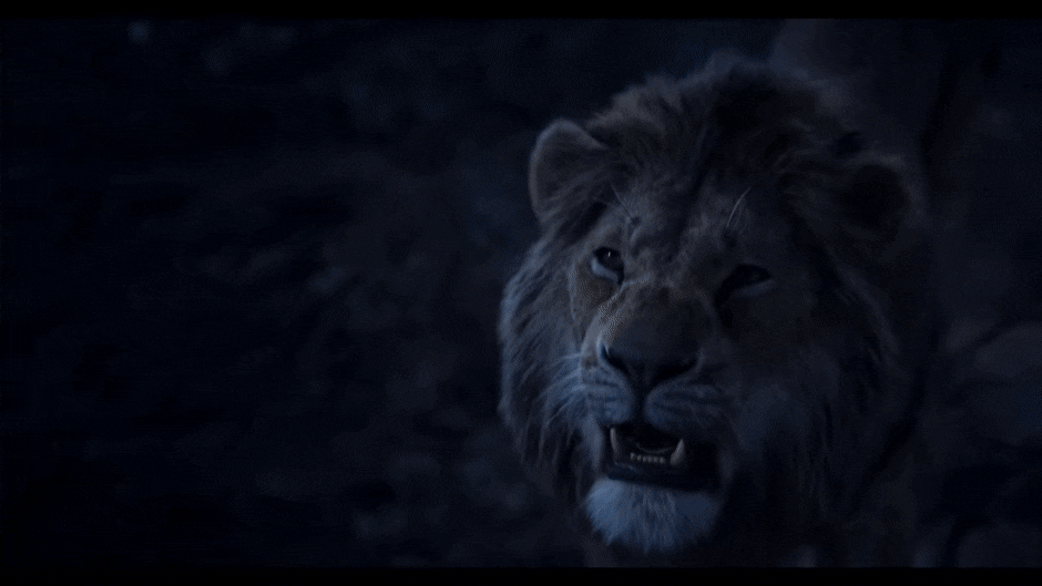 The Lion King (2019) - IMDb