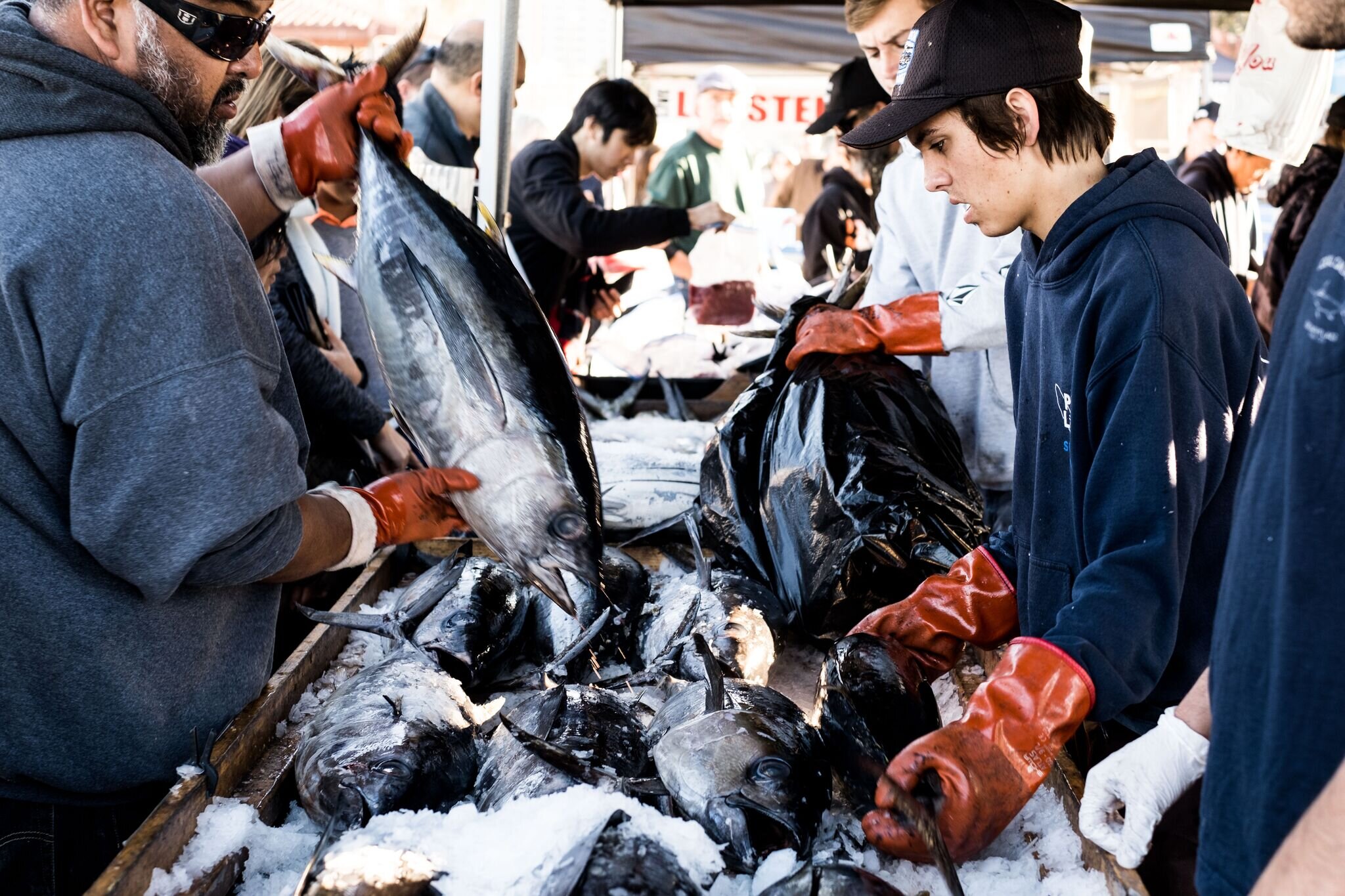 Tuna Harbor Dockside Market