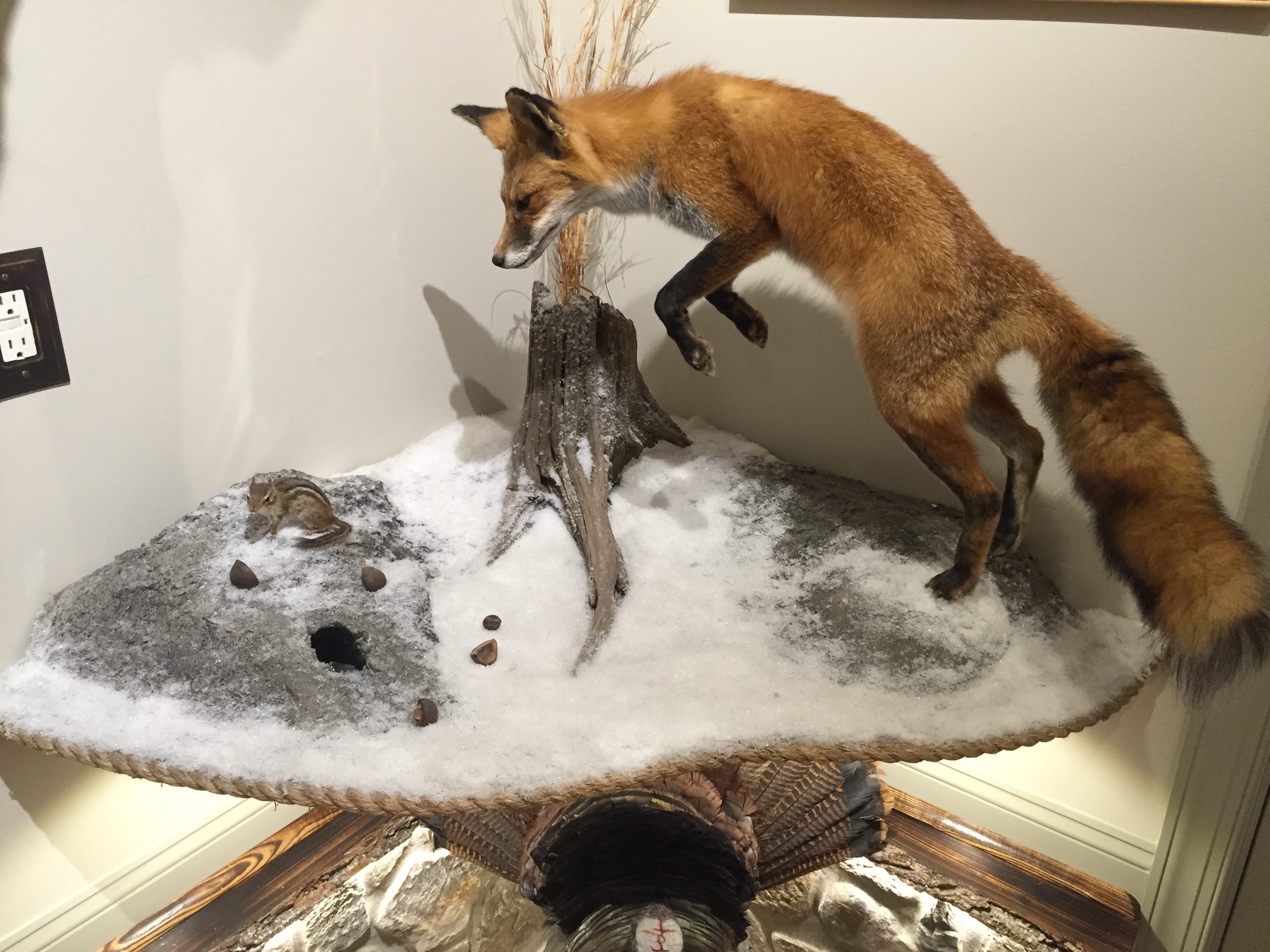 Wicked Taxidermy Trophies
