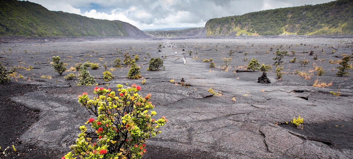 Kīlauea Iki Trail Guide