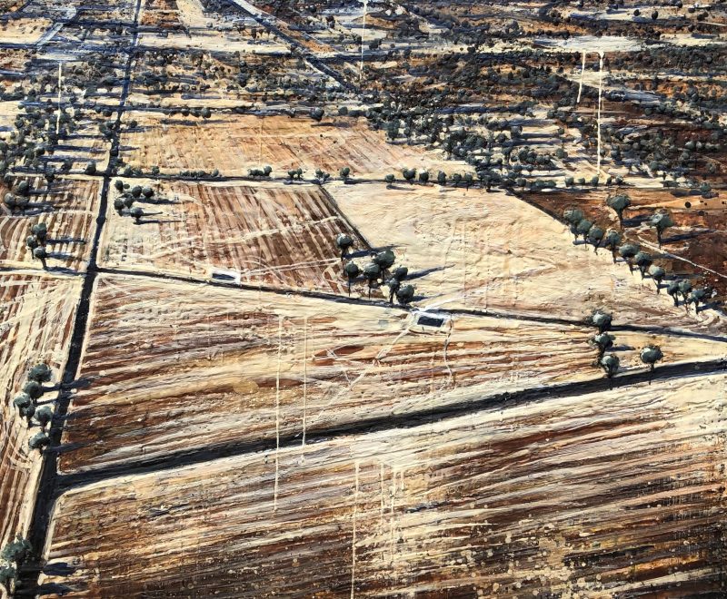 Carly Le Cerf | Artist | Western Australia