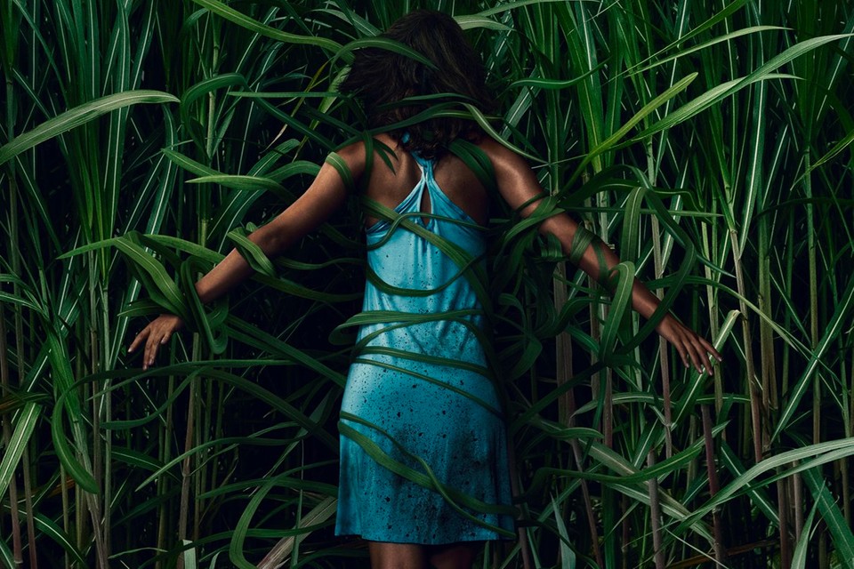 In the Tall Grass | Netflix