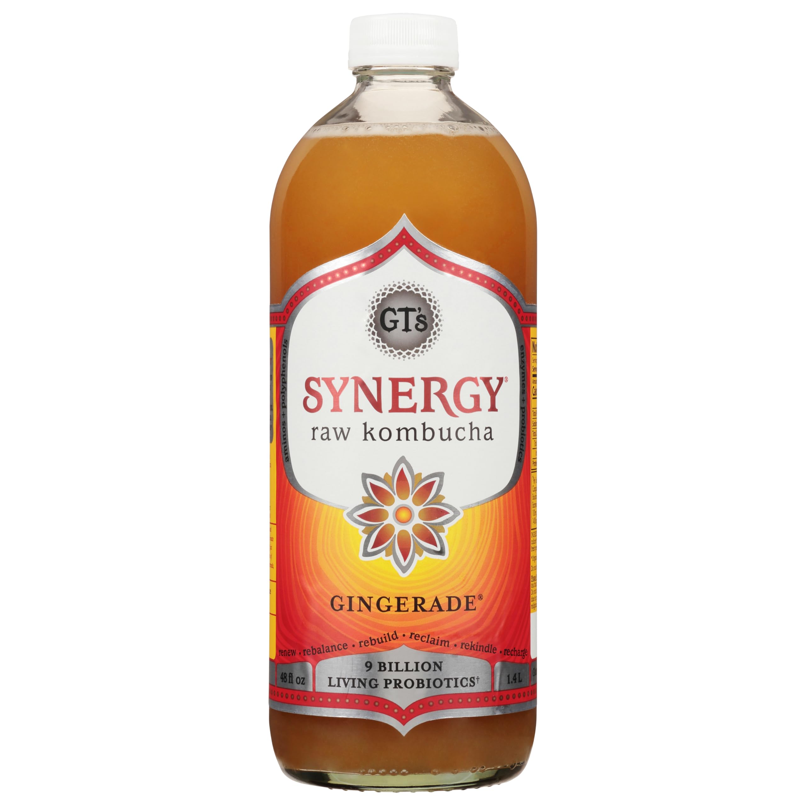 Synergy Organic Raw Kombucha