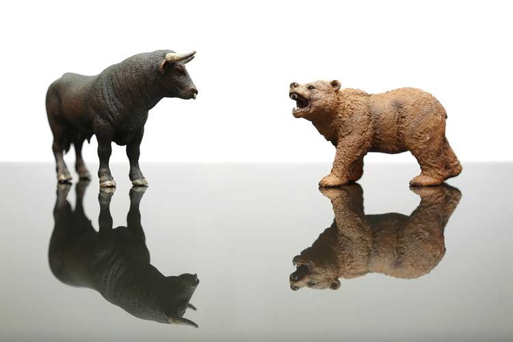 Another Investor Sentiment Red Flag Goes Up - Schaeffer's Investment Research