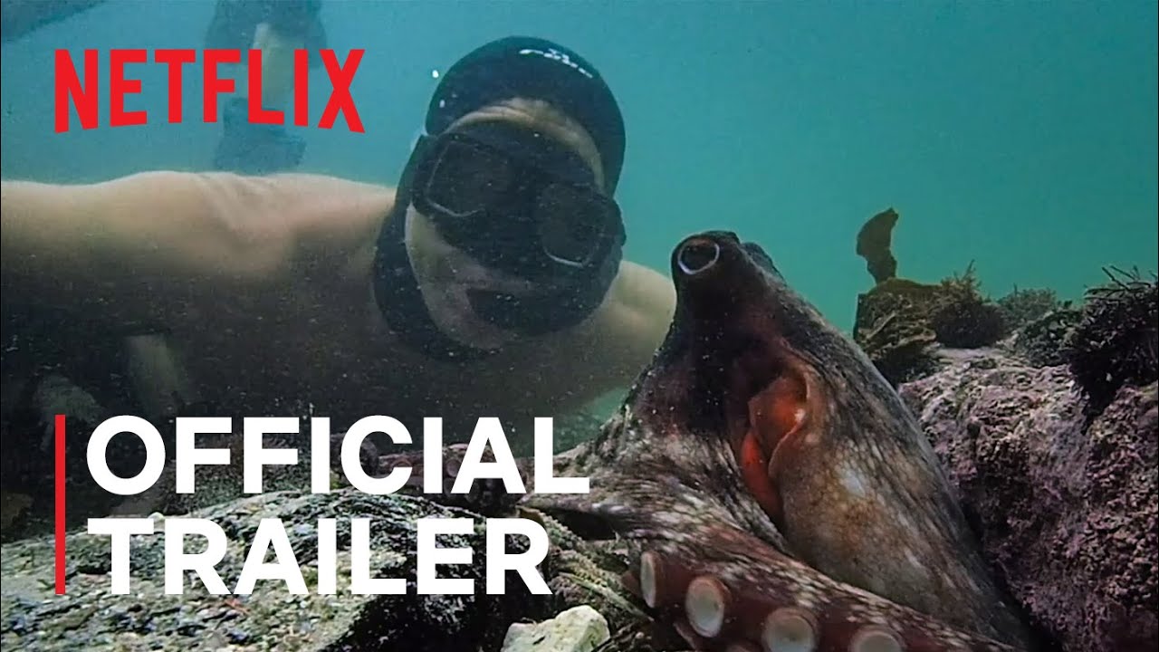 My Octopus Teacher - Netflix 