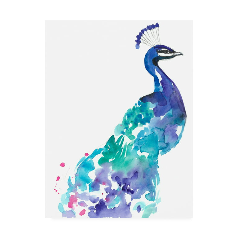 Peacock - Splash