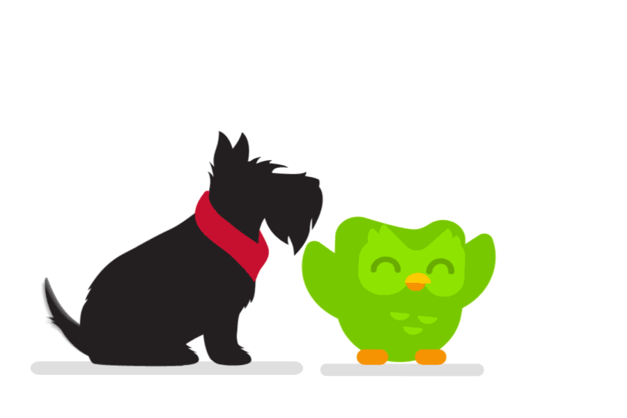 Duolingo - The world's best way to learn a language