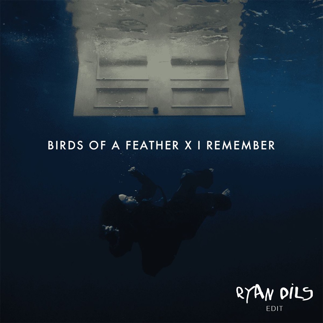 Birds of a feather / I remember - Bynz edit