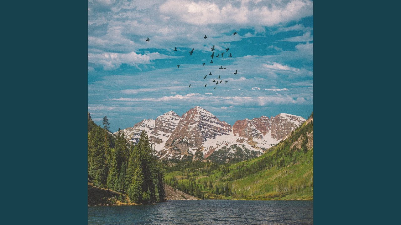 As a Bird Flies