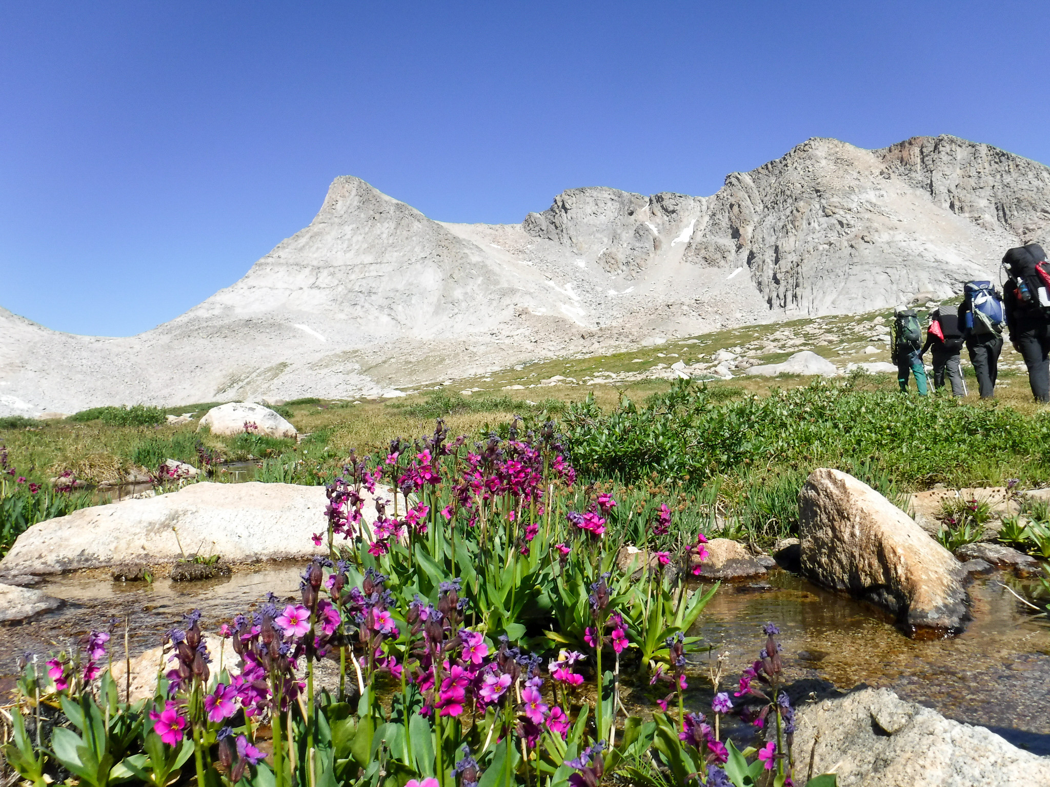 NOLS | The Leader in Wilderness Education
