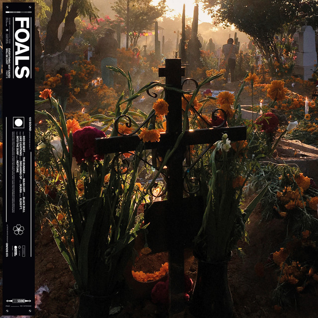 Neptune \\ Foals