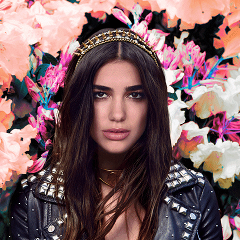 BLAISE - DUA