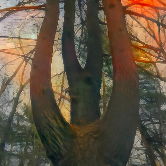 Parallels - Goghi