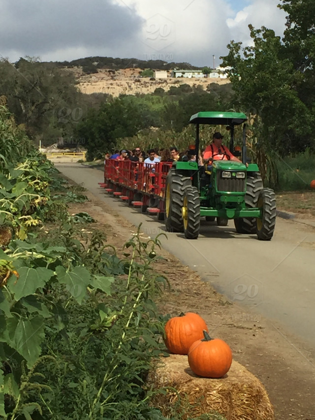 Bates Nut Farm | San Diego Pumpkin Patch
