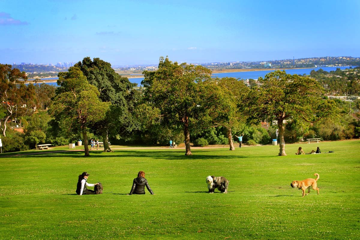 Kate Sessions Park
