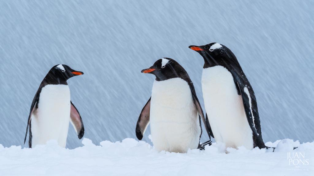 reCOMPOSE Podcast 048: Cold Weather Photography - Outdoor Photographer