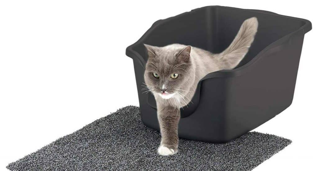 Amazon.com : Nature's Miracle High-Sided Litter Box, 23 x 18.5 x 11 inches : Extra Large Litter Box : Pet Supplies