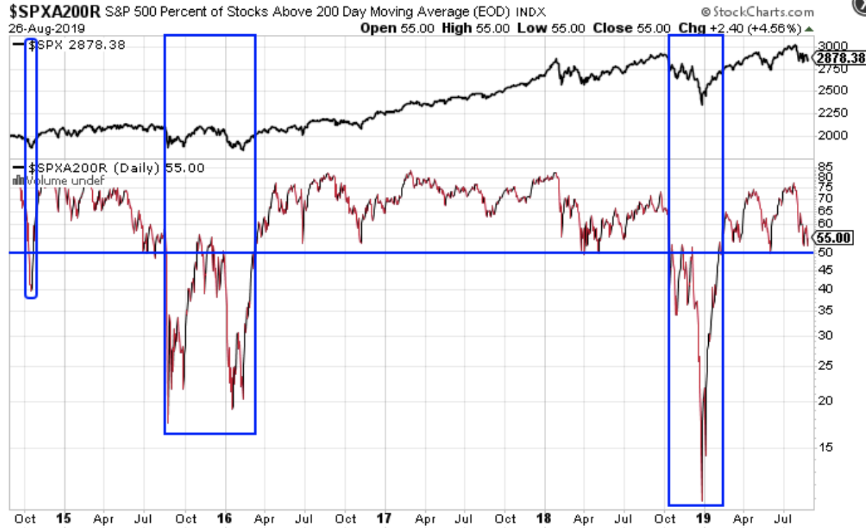 The Most Important Indicator Right Now - The Chart Report