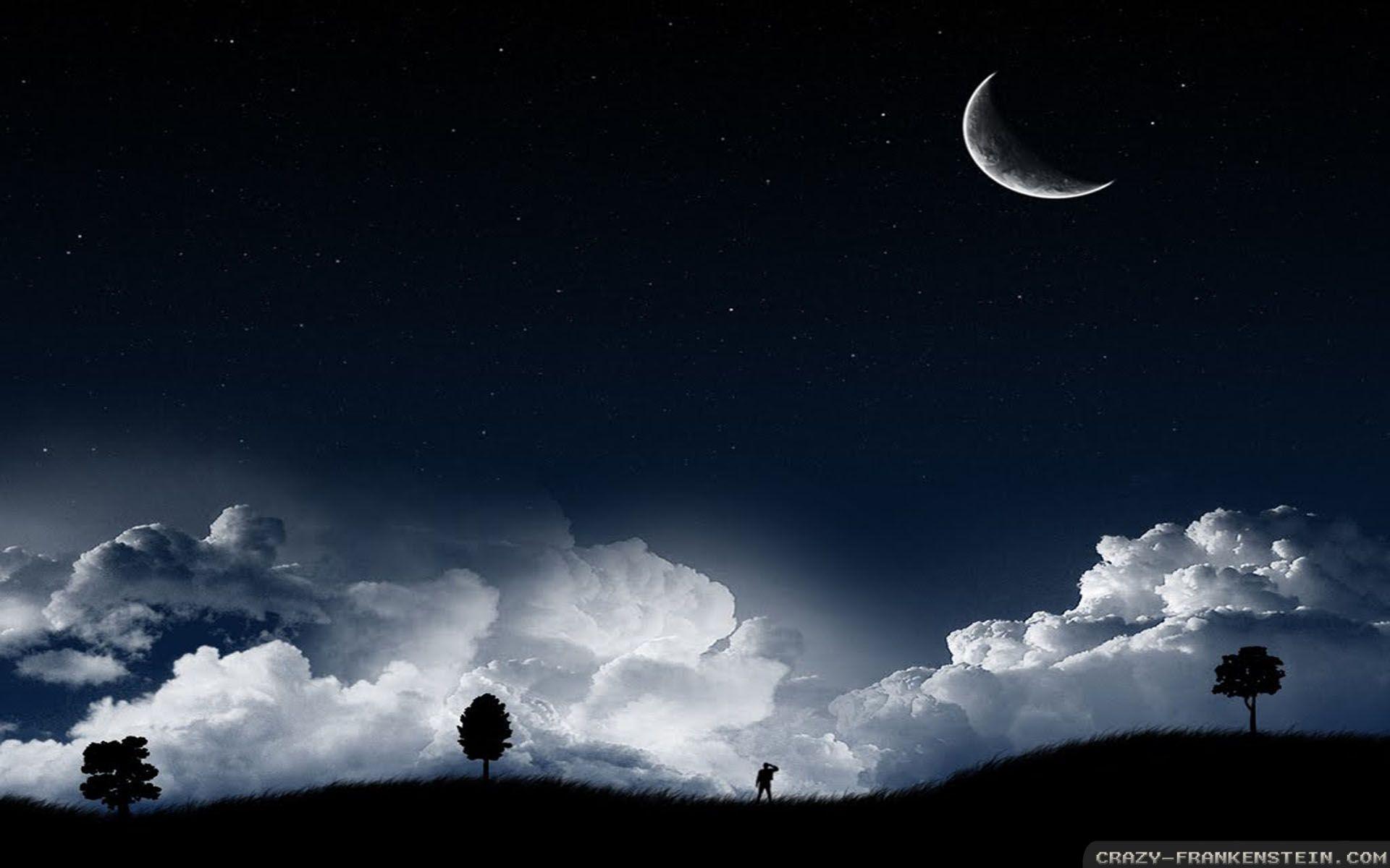 One Summer Night - The Danleers
