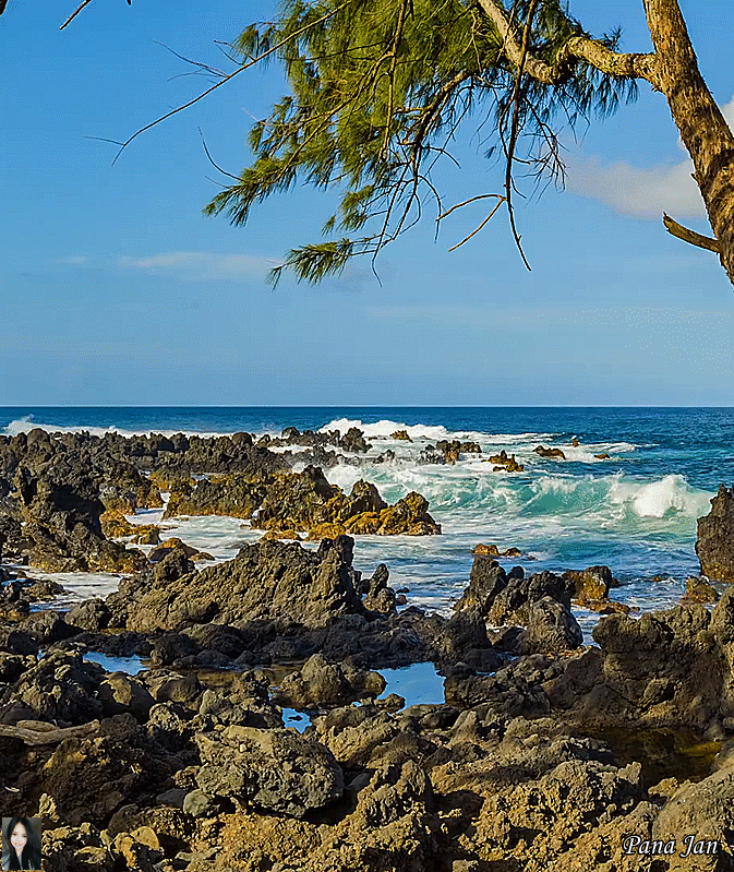 The Best Novels Set in Hawaii