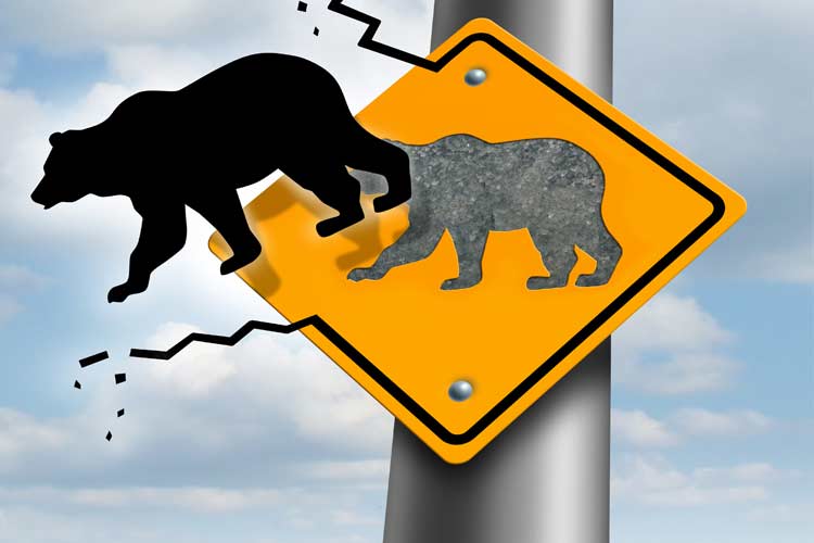 5 Signs the Stock Market is Terrified - Schaeffer's Investment Research