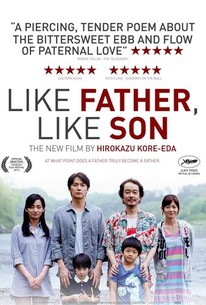 Like Father, Like Son (2013)