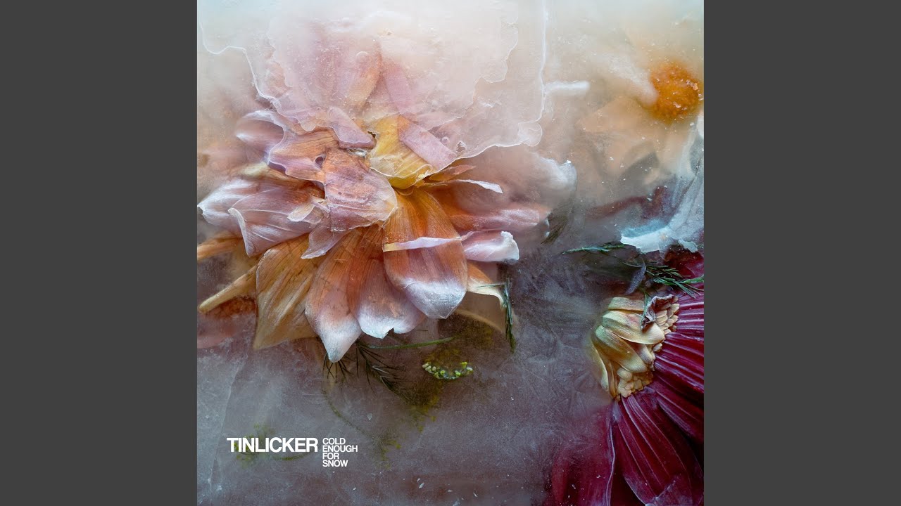Staring Down Sunset -Tinlicker (feat. Nathan Nicholson)