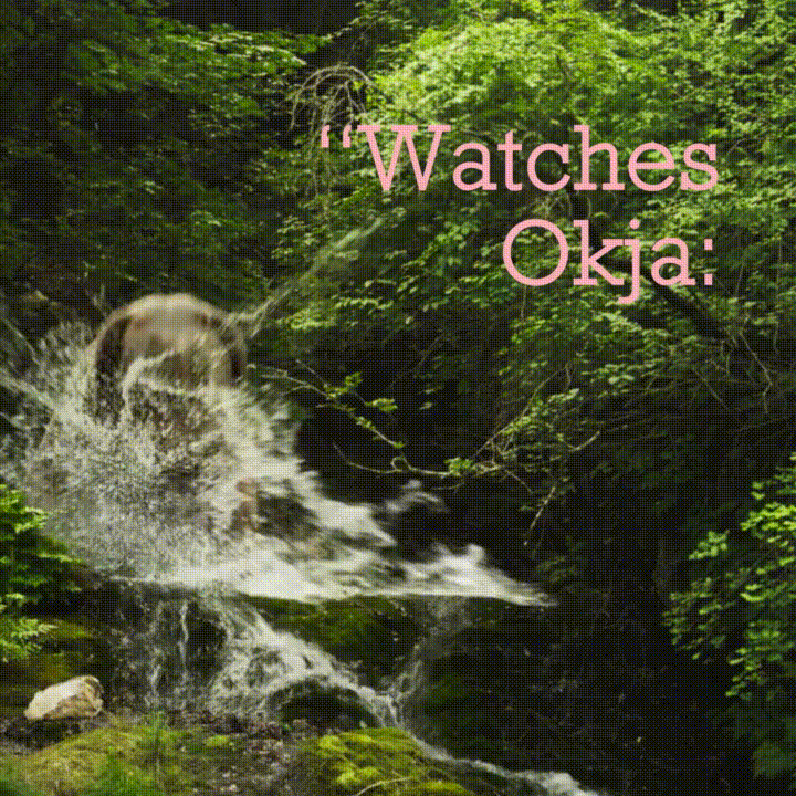 Okja | Netflix Official Site