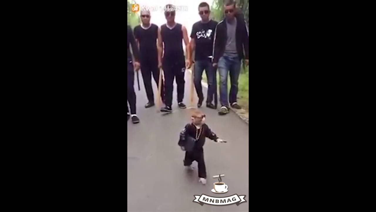 Gangster Monkey - Gangster For Life