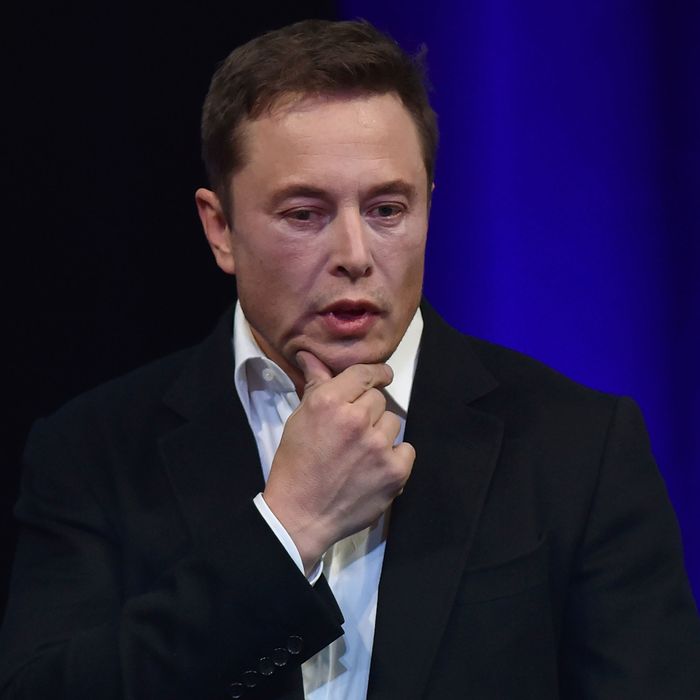 Investors betting against Tesla's stock have had 7 really good days. Here's what's behind them