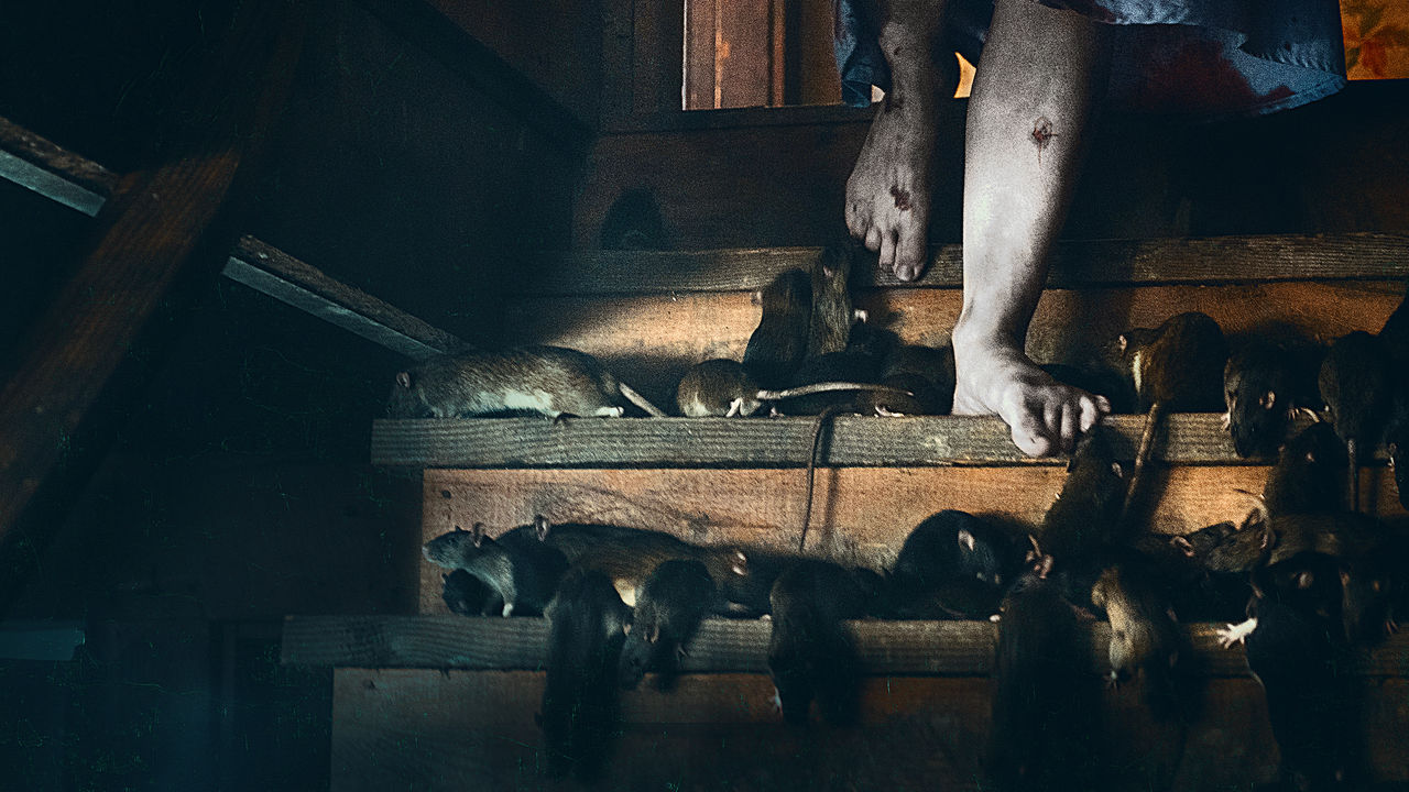 1922 | Netflix Original