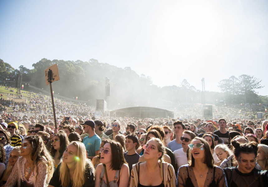 Splendour in the Grass