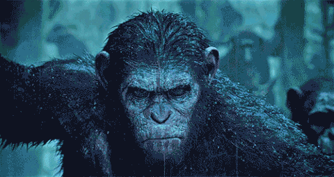 War for the Planet of the Apes
