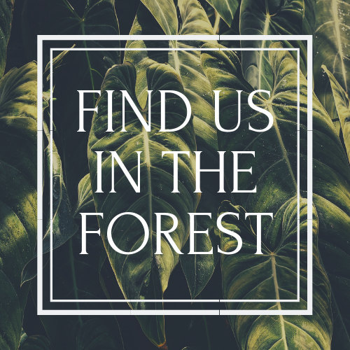 House plants delivered to your door 