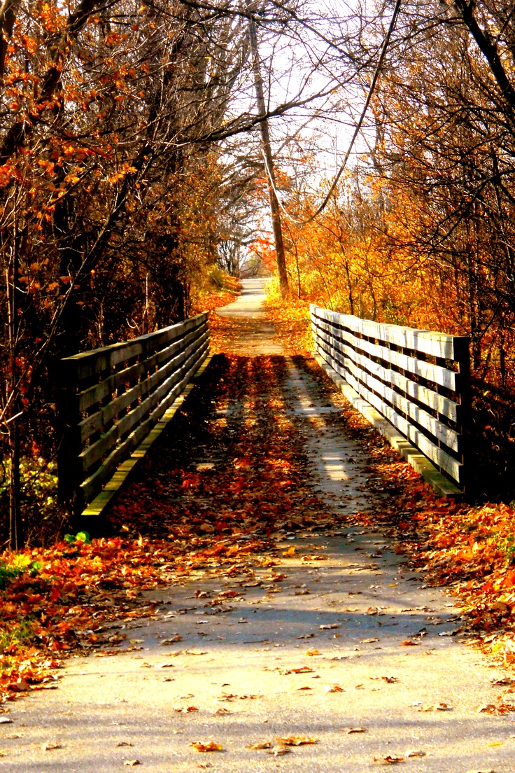 Go for a walk