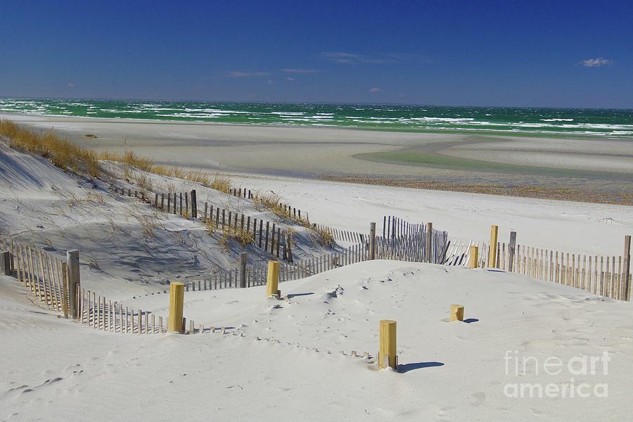 Mayflower Beach - Cape Cod Online