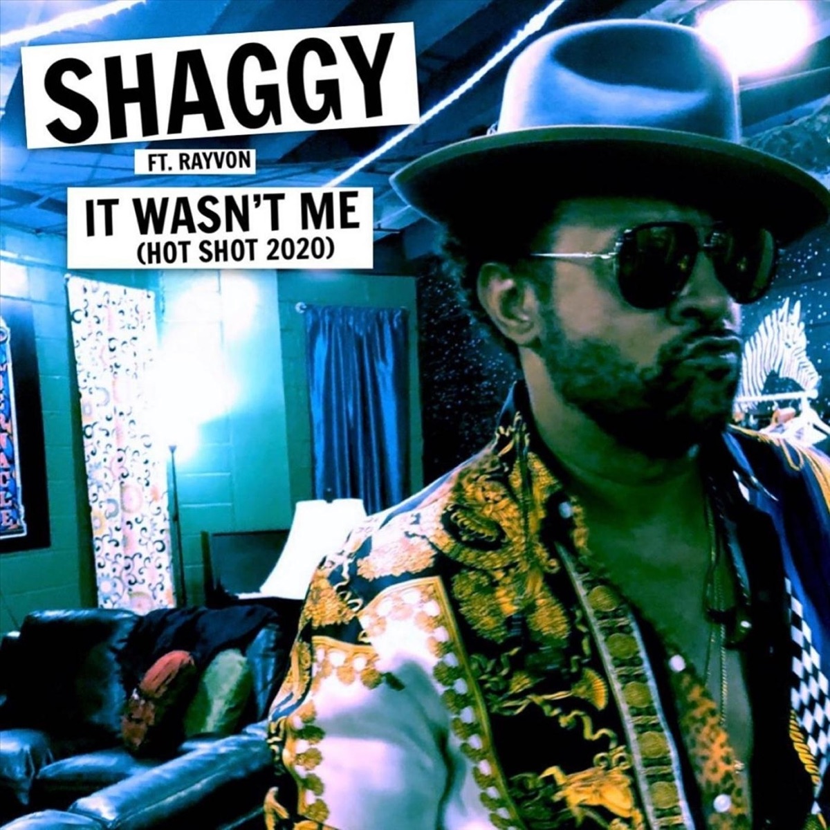 Shaggy - It Wasn't Me