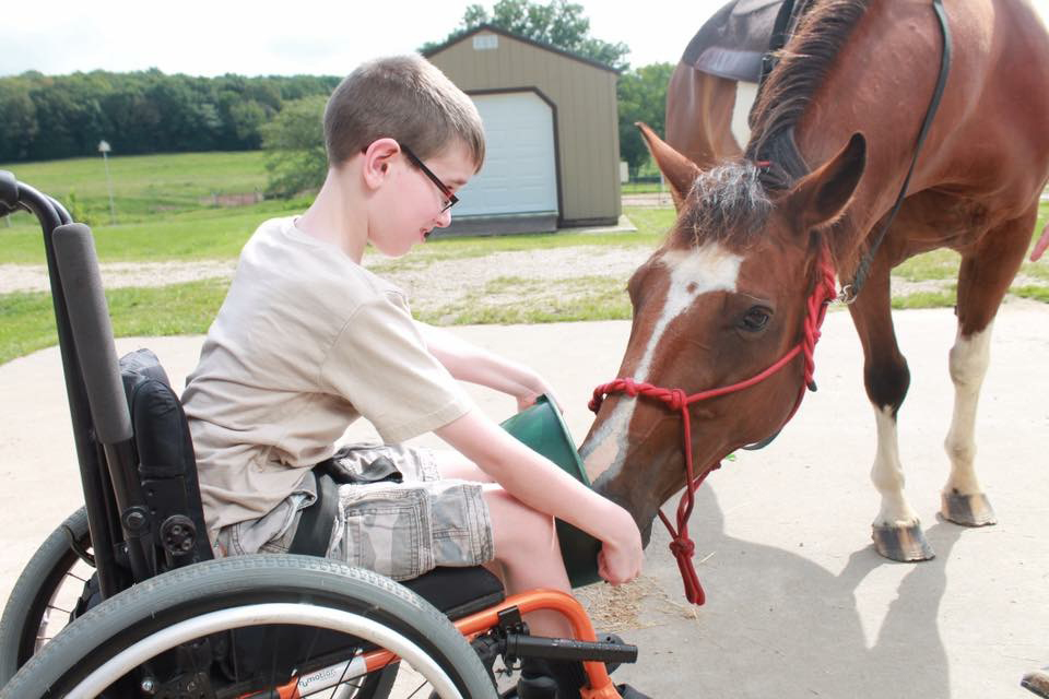 The Healing Horse 