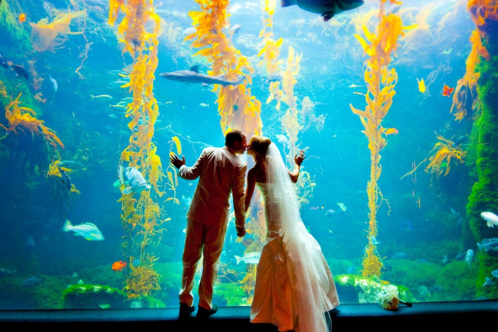 Birch Aquarium at Scripps | Home