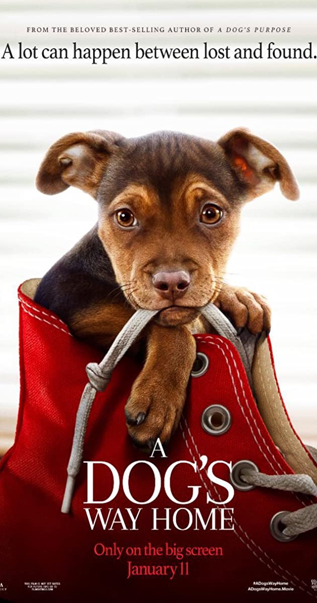 A DOG'S WAY HOME - Official Trailer (HD)