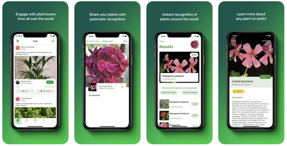 PlantSnap - FREE plant identifier app