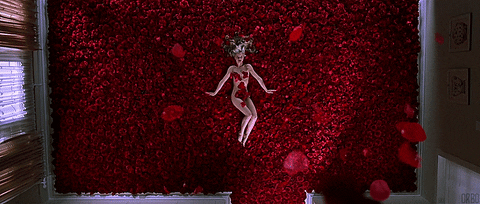 American Beauty 