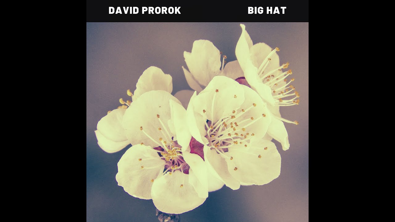 David Prorok - Big Hat (Dirty)
