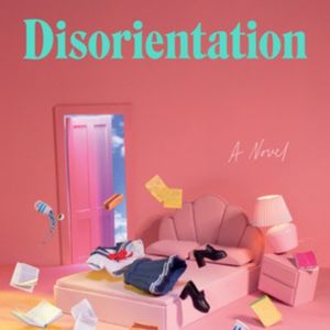 Hijinks and Insights of 'Disorientation' : The Fiction Addiction