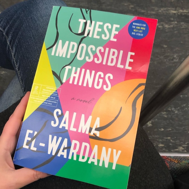 These Impossible Things : The Fiction Addiction