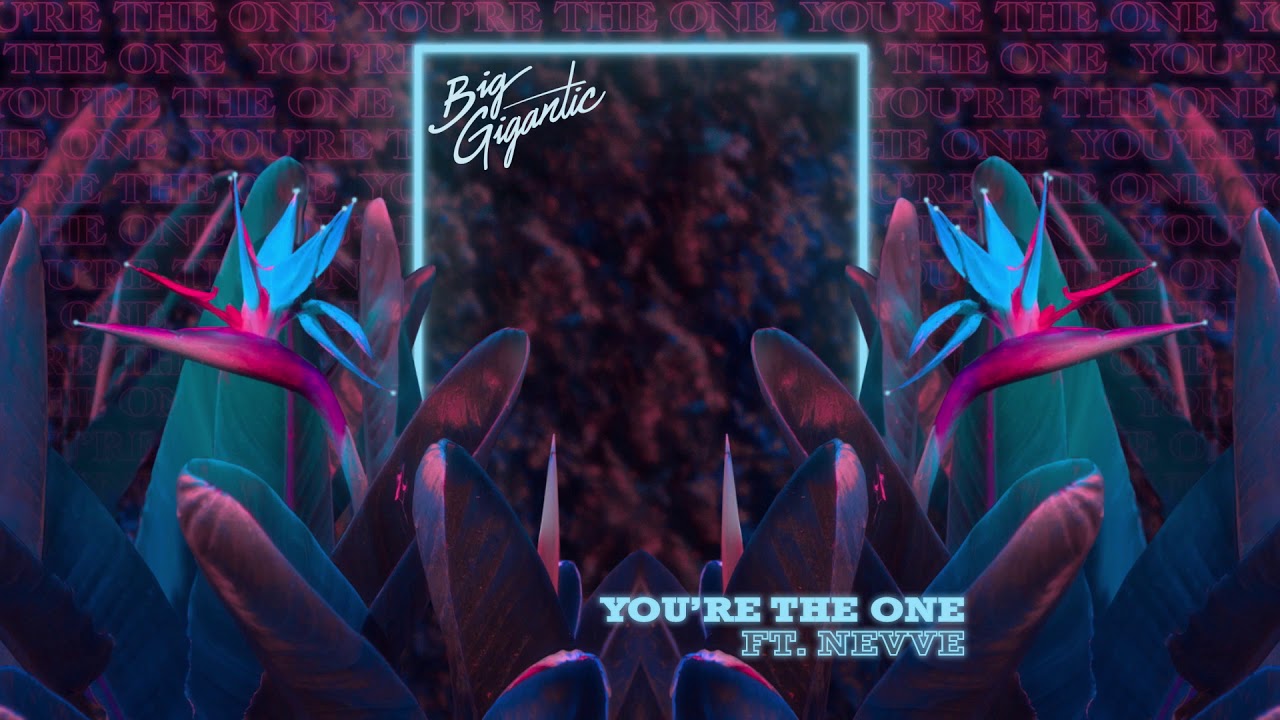 Big Gigantic - You’re The One (feat. Nevve)